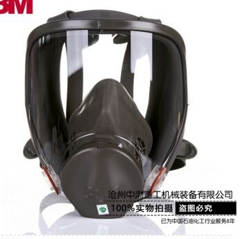 煙臺(tái)雙罐式面罩6800#